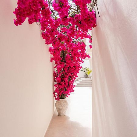 Malacosta A - Mc Apartments Ibiza 外观 照片