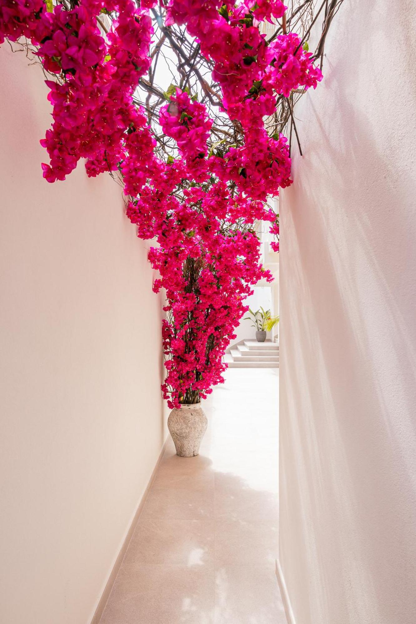 Malacosta A - Mc Apartments Ibiza 外观 照片